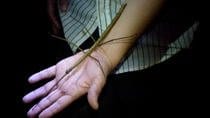 Night Tour Near of San José Watch Spider Frog and Many More with this Walking