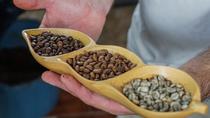 North Fields Cafe (Craft Specialty Coffee Tour)