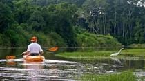 Nosara River Guided Kayak Mangrove And Environment Watching Tour In Guanacaste