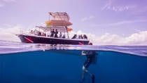 PADI Discover Scuba Diving Playa Flamingo