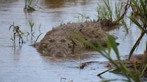 Palo Verde National Park - Admission Ticket