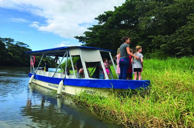Palo Verde National Park And Coffee Tour