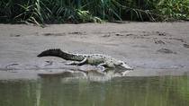 Palo Verde National Park Boat Tour with Lunch