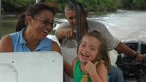 Palo Verde Wildlife Boat Dreams Resort Guanacaste