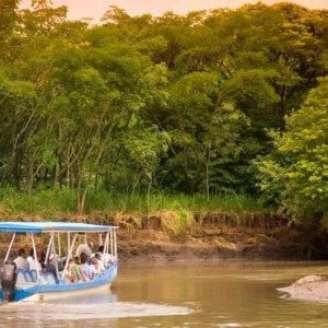 Palo Verde Wildlife Playa Hermosa-Coco Beach