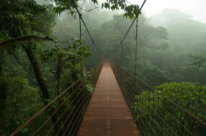Private Full-Day Trip To Monteverde Cloud Forest