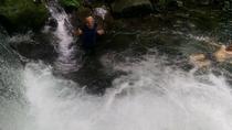 Private Jungle Adventure With Horseback Ride