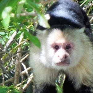 Private Safari Floating Trip At Peñas Blancas River