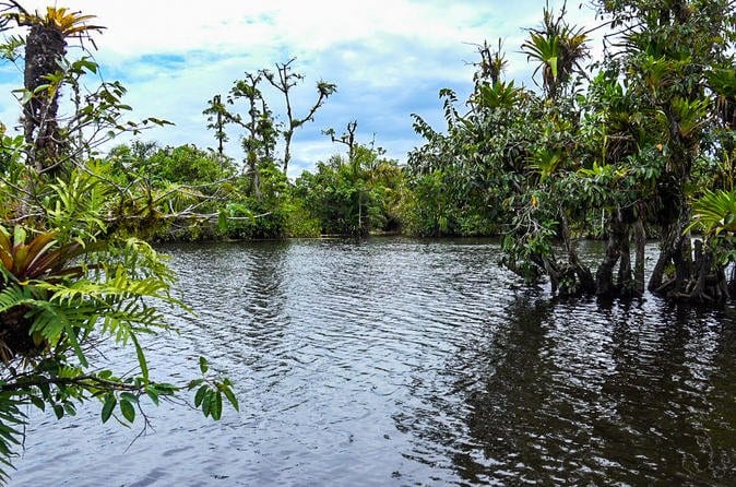Pure Nature Safari Float Adventure
