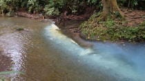 Río Celeste And Volc–n Tenorio Guanacaste