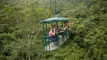 Rainforest Aerial Tram and Crocodile Day San José