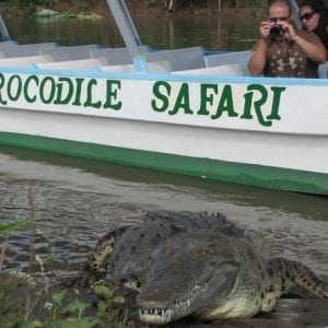 Rainforest Aerial Tram and Crocodile Day San José