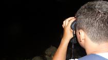 Salve Terra Park: Night Walk