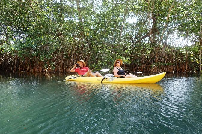 Samara Beach Wildlife and Mangrove Kayaking Tour