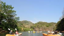 Samara Beach Wildlife and Mangrove Kayaking Tour