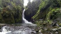 San Gerardo de Dota and Savegre River Bird Watching and Nature Guided Cloud Fo