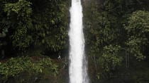San José to La Fortuna Transfer with Waterfall, Coffee and Nature Reserve Tour