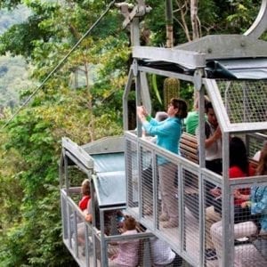 Shore Excursion: Aerial Tram Ride And Trail Tour