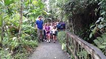 Shore Excursion: Aerial Tram Ride And Trail Tour
