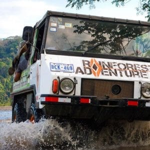 Signature Rainforest Tour