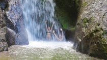Signature Rainforest Tour