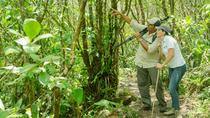 Silencio Trail Hike