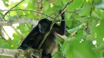 Snorkeling And Hiking In Cahuita National Park