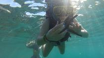 Snorkeling Boat Tour