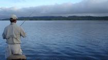 Sport Fishing At Arenal Lake Of La Fortuna In A Boat Half Day Tour