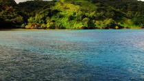 Sport Fishing At El Coco In Guanacaste Inshore Half-Day Tour In The Pacific Si