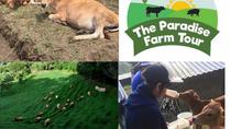 Sustainable Farm Tour And Breakfast