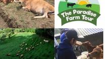 Sustainable Farm Tour And Dinner