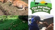 Sustainable Farm Tour And Lunch