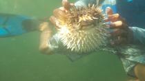 Tamarindo UTV and Snorkeling Tour