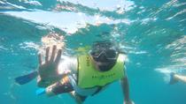 Tortuga Island & Snorkeling and Banana Boat Include San José