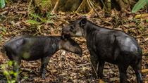 Tour To Marino Ballena National Park By Costa Rica Te Enamora