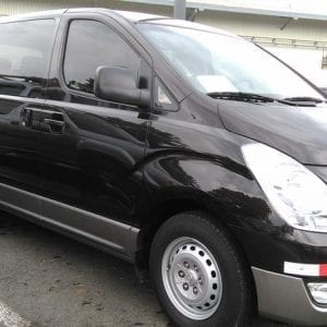 Transfer Arenal And Fortuna To The Airport Or San José