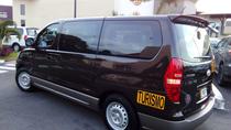 Transfer La Fortuna Or Arenal To Conchal Beach 1 To 5 people