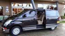 Transfer Occidental Papagayo To Arenal Or Fortuna 1 To 6 People