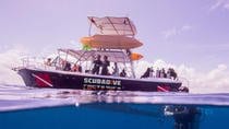 Two-Dive Tour At Las Catalinas Islands
