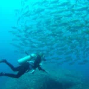 Two-Tank Dive At Caño Island