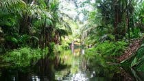 Veragua Full Plus Tortuguero Canals Tour