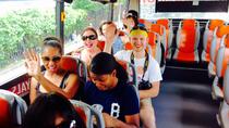 Vip City Bus Tour