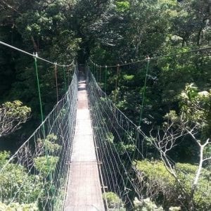 Volcanic Adventure