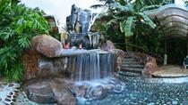 Volcano Observation Tour And Baldi Hot Springs