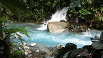 Waterfall And Hot Springs Mud Bath Tour In Rincón De La Vieja