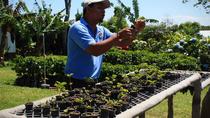 Waterfall Gardens plus Dota coffe tour