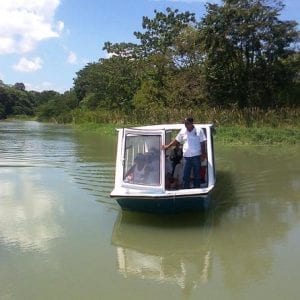 Zipline And Tortuguero Canal Limón