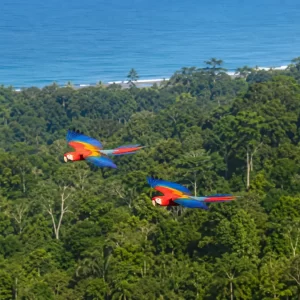 Corcovado National Park & Sirena Station Day Trip from Manuel Antonio