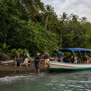 Corcovado National Park & Sirena Station Day Trip from Manuel Antonio
